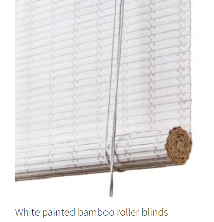 Pure White Painted Blind